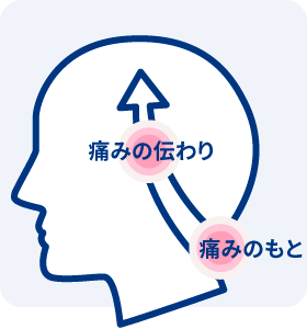 痛みの伝わり 痛みのもと